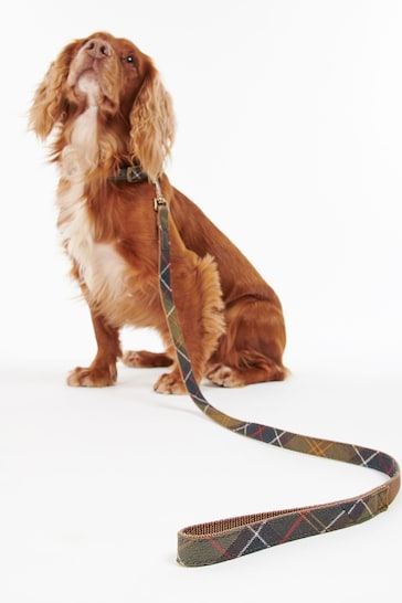 Barbour® Multi Classic Tartan Webbing Dog Lead