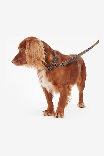 Barbour® Multi Classic Tartan Webbing Dog Lead