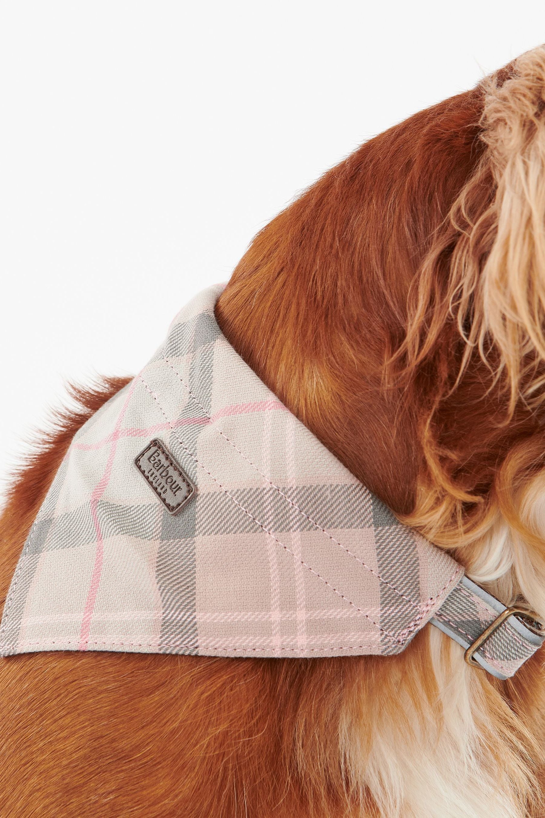 Barbour dog harness pink sales