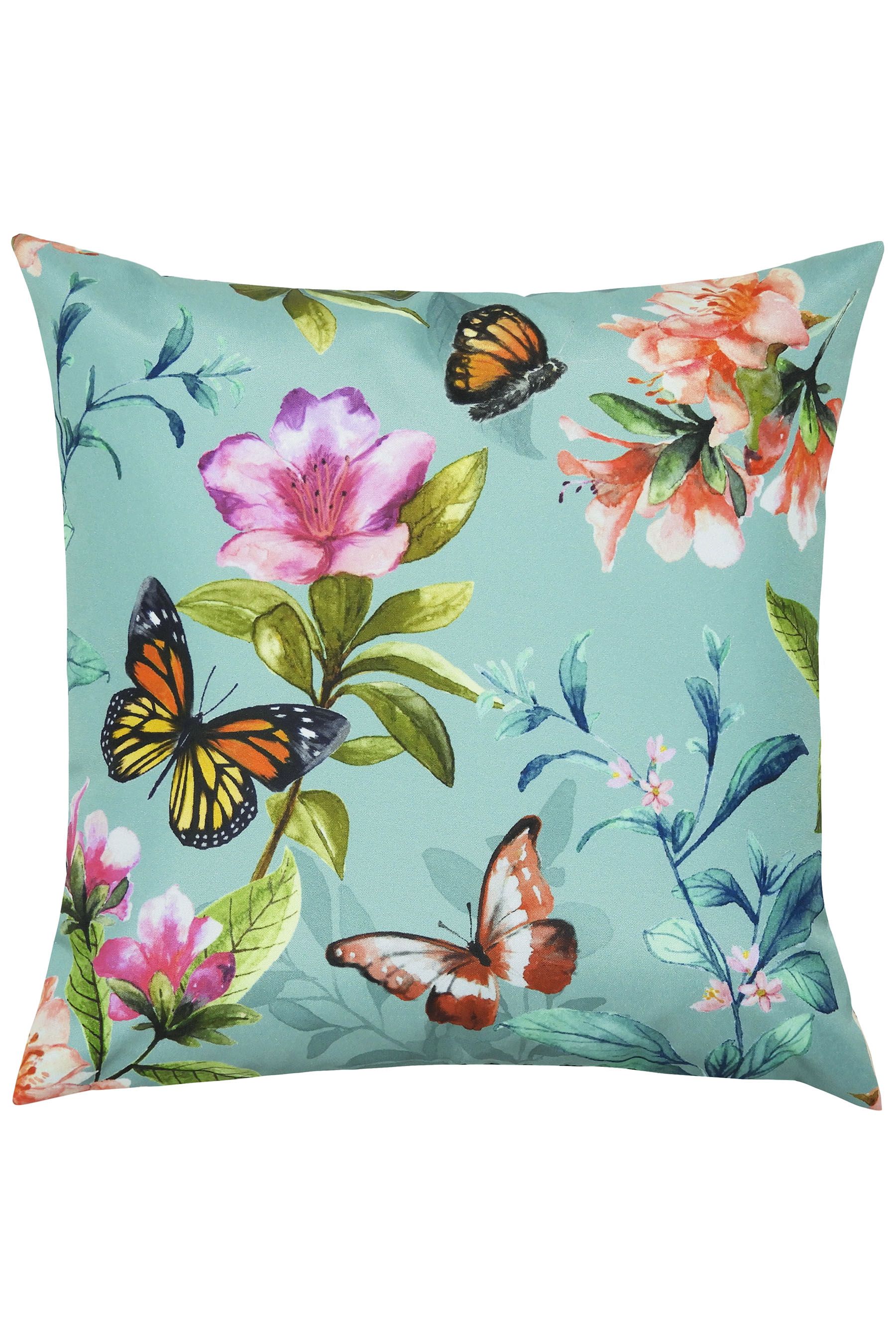 Evans blue butterfly top