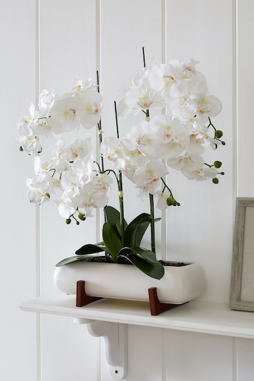 White Extra Large Real Touch Orchid In White Pot With Wooden Stand