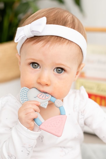 Cheeky Chompers Teething Baby Toys
