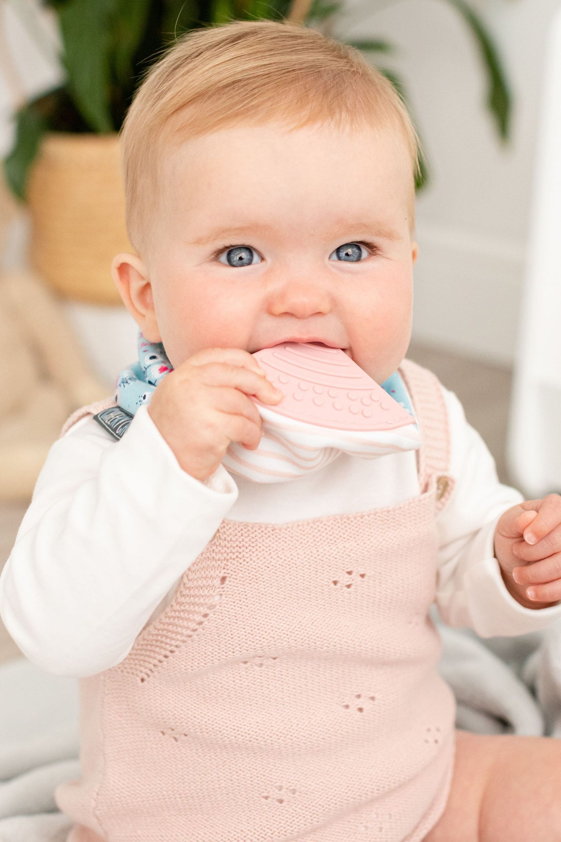 Baby bib sale with teether