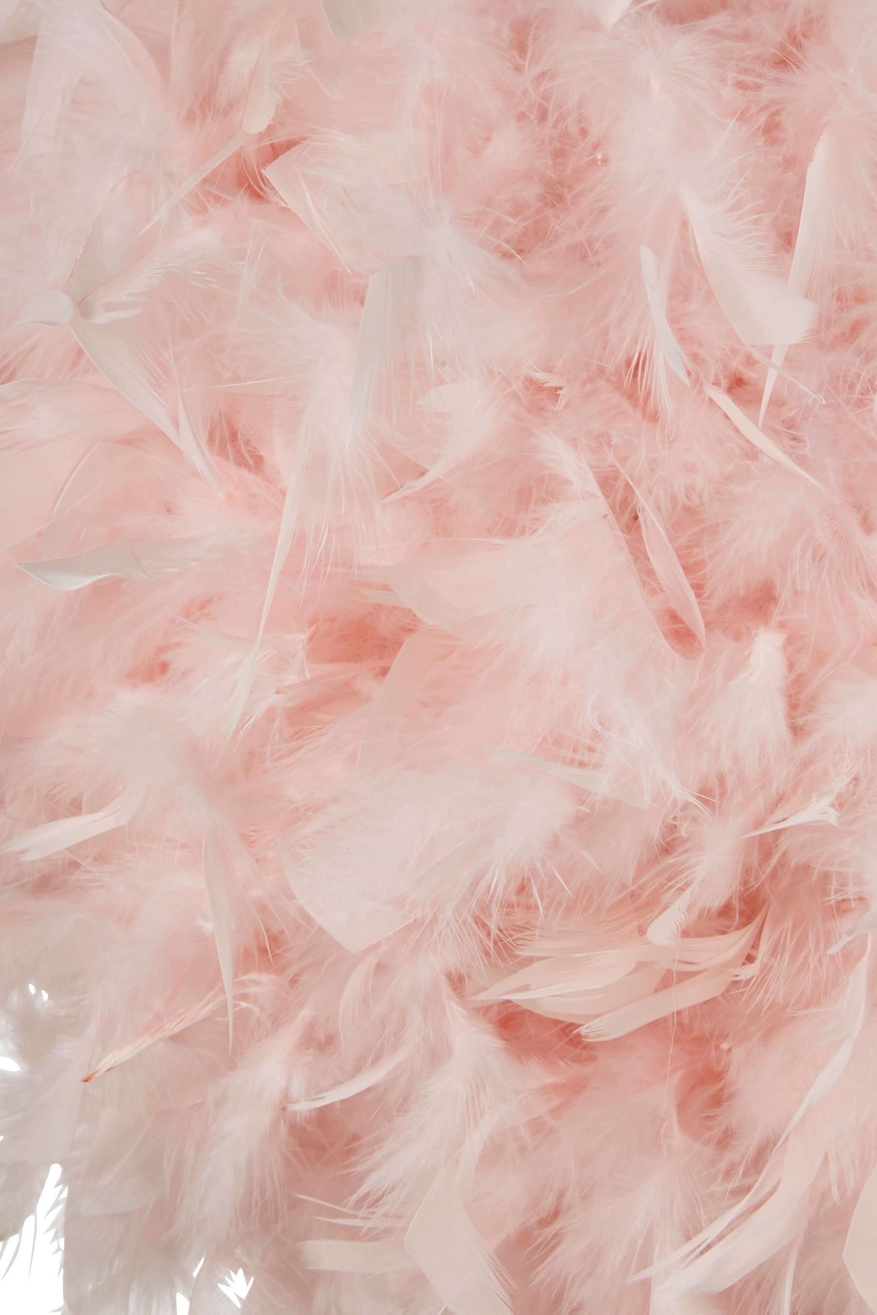 Next lipsy shop feather shade