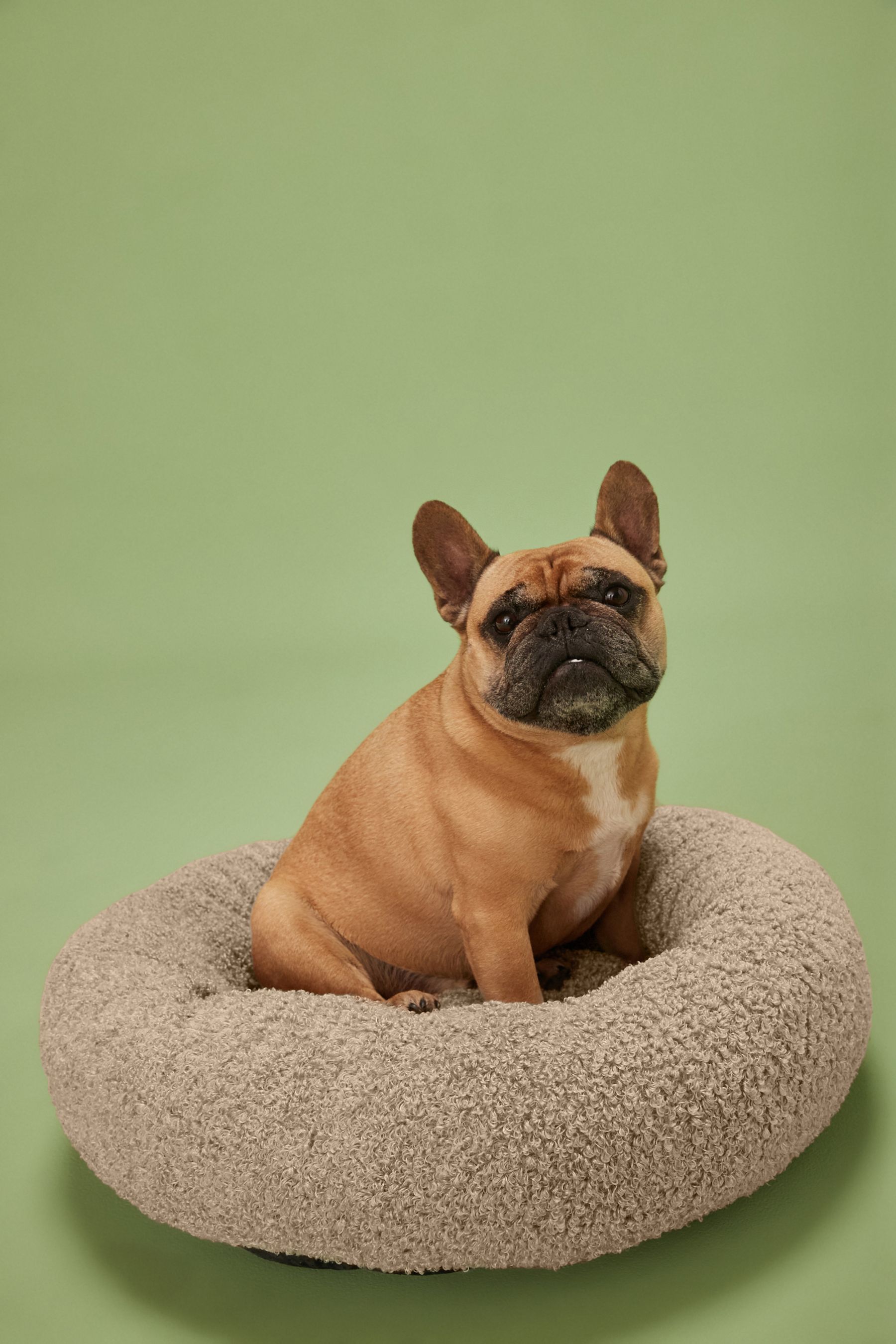 Beige Borg Pet Bed