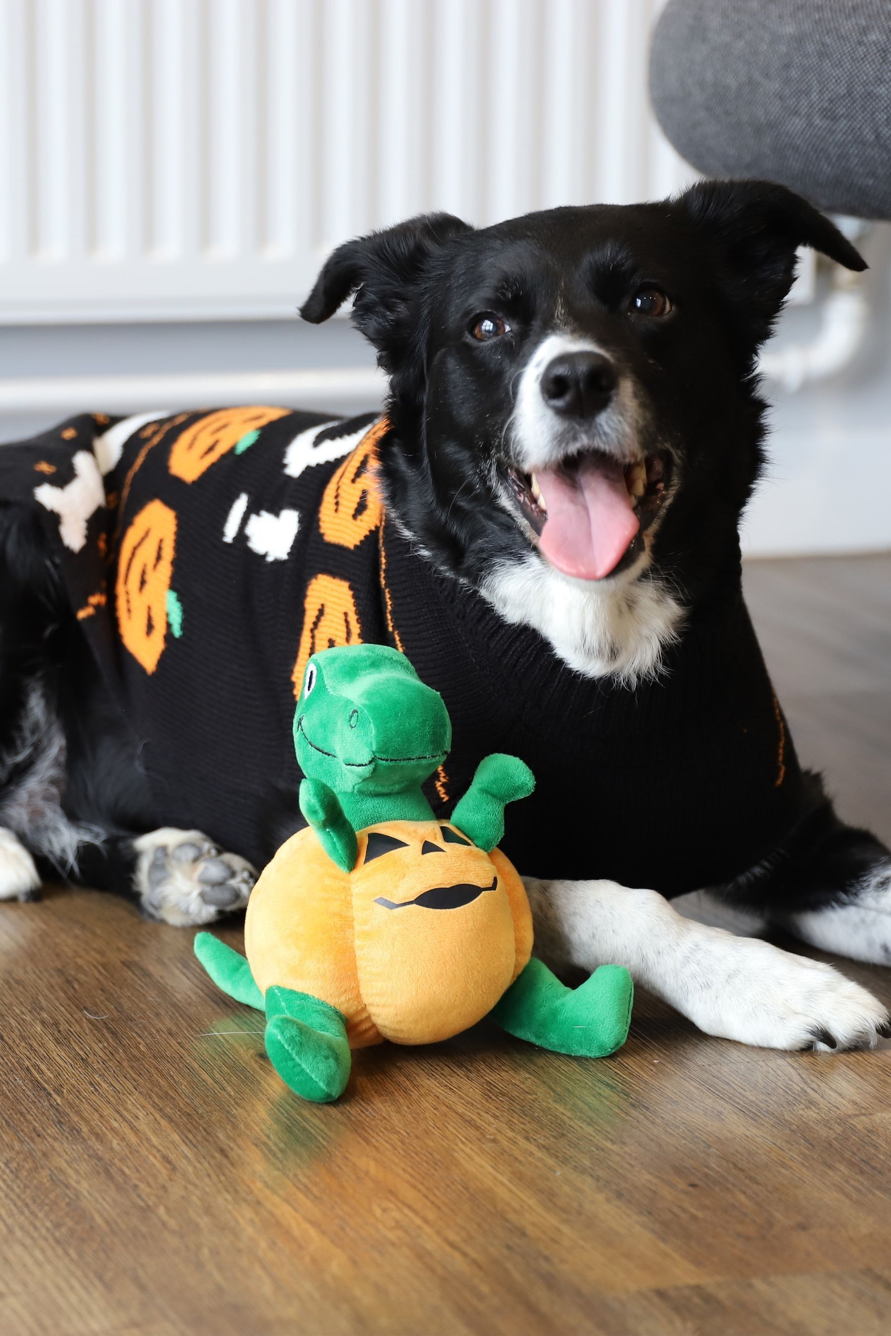 Halloween dog jumper 2025