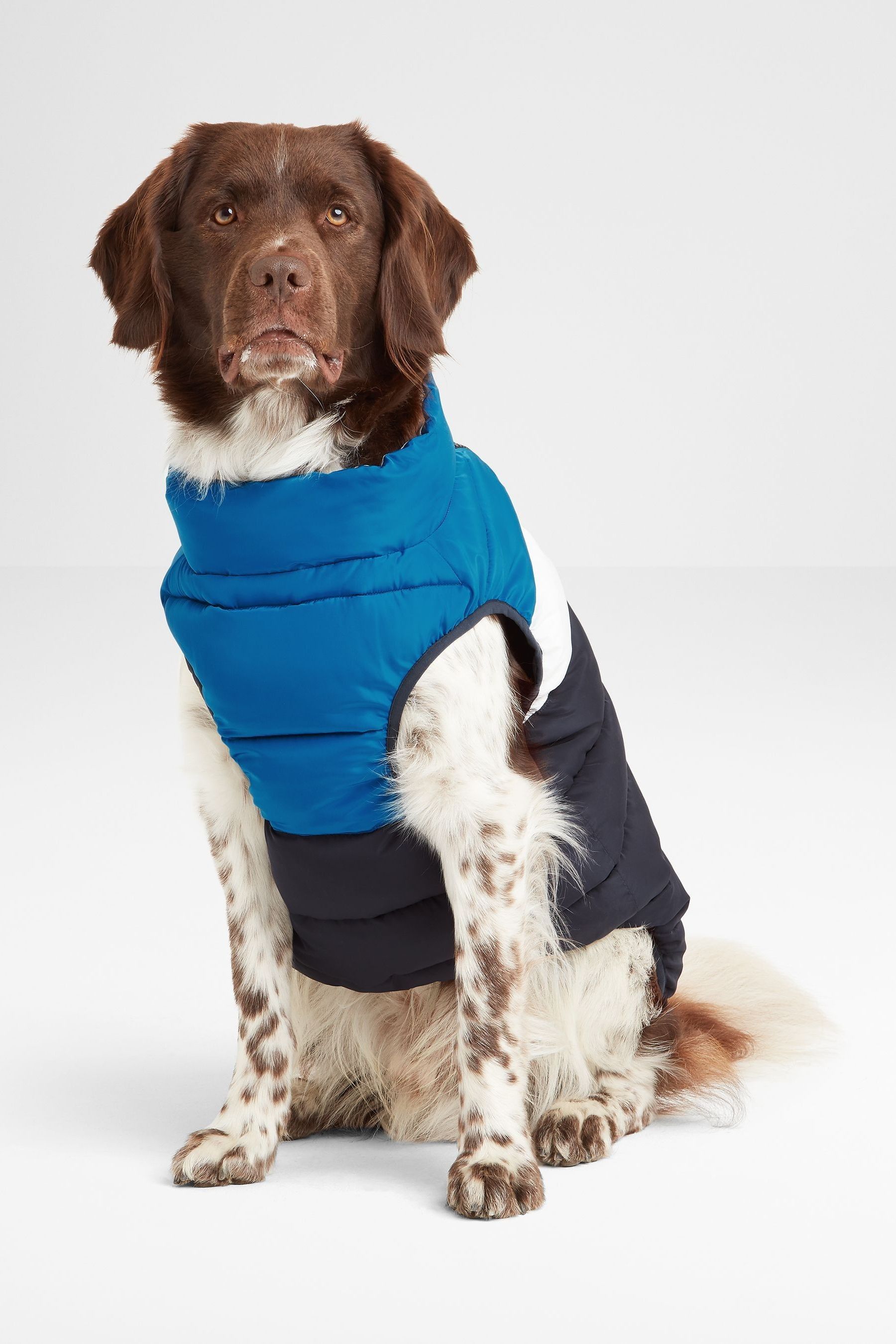 Fetch dog coats outlet