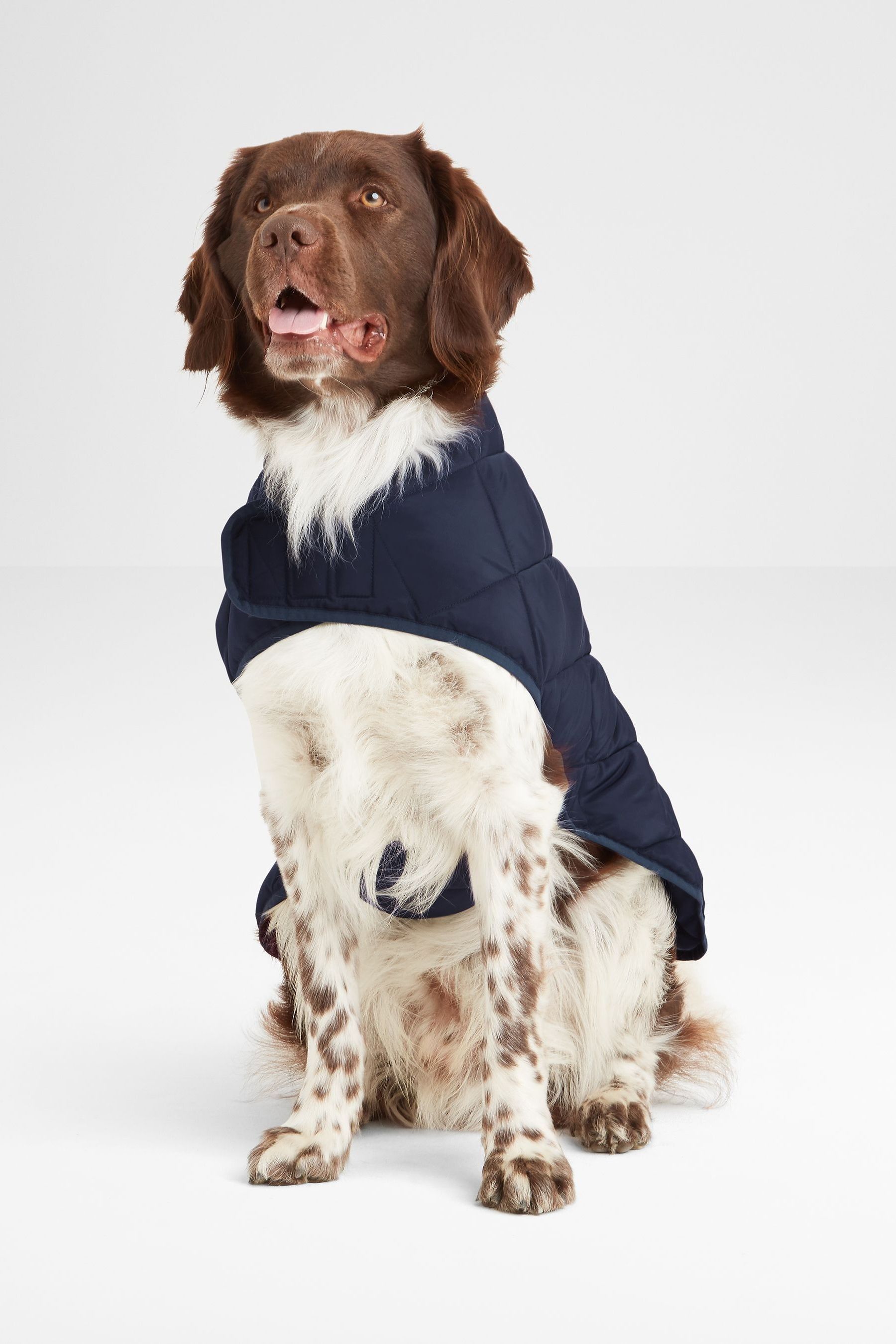 Fido fleece dog coats best sale