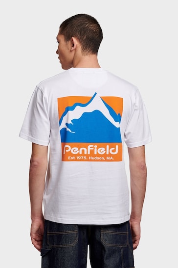 Penfield Mens Relaxed Fit Mountain Scene Back Graphic T-Shirt
