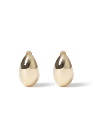 Aela Gold Tone Teardrop Earrings