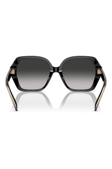 COACH Hc8404U Irregular Black Sunglasses
