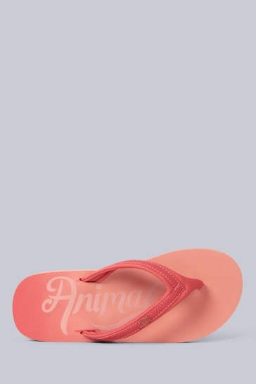Animal Slim Pink Swish Flip Flops