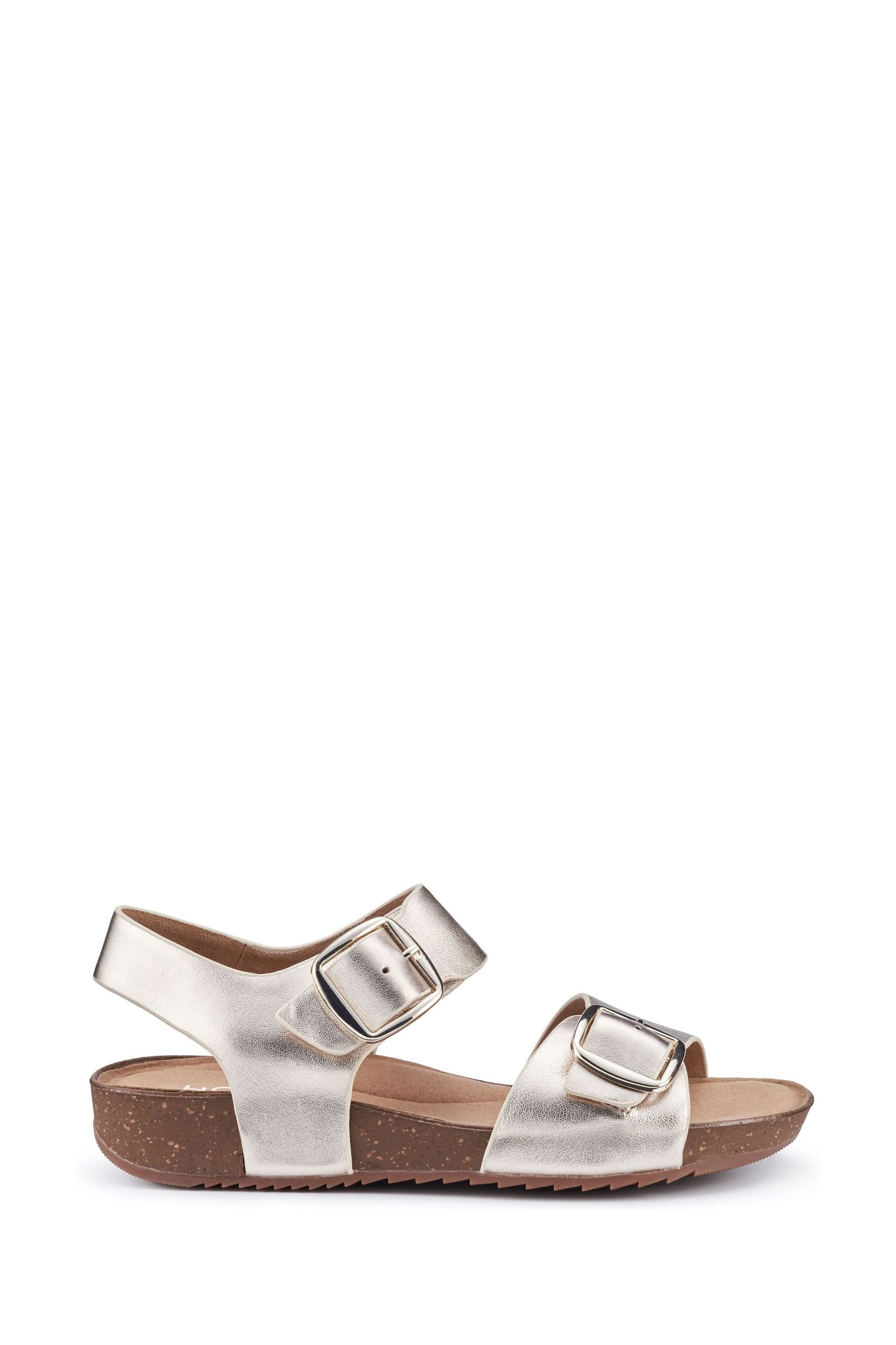 Buy Hotter Soft Gold Regular Fit Tourist II Buckle Sandals from the Next UK online shop