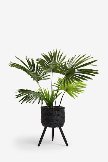 Green Artificial Palm Leaf In Rattan Footed Pot