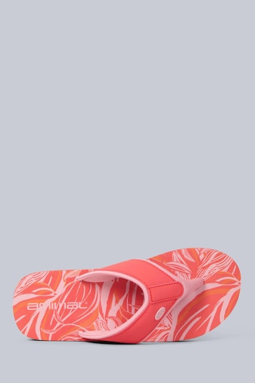 Animal Orange Swish Printed Flip Flops