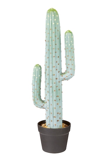 Premier Decorations Ltd Green 69cm Plastic Potted Saguaro Garden Cactus