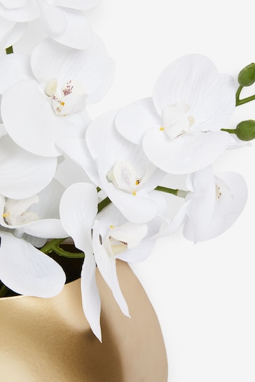 White Artificial Orchid Wall Plaque