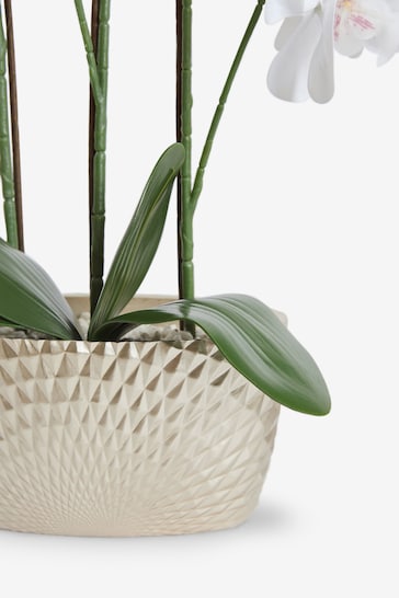 White Artificial Real Touch Orchid in Geo Pot