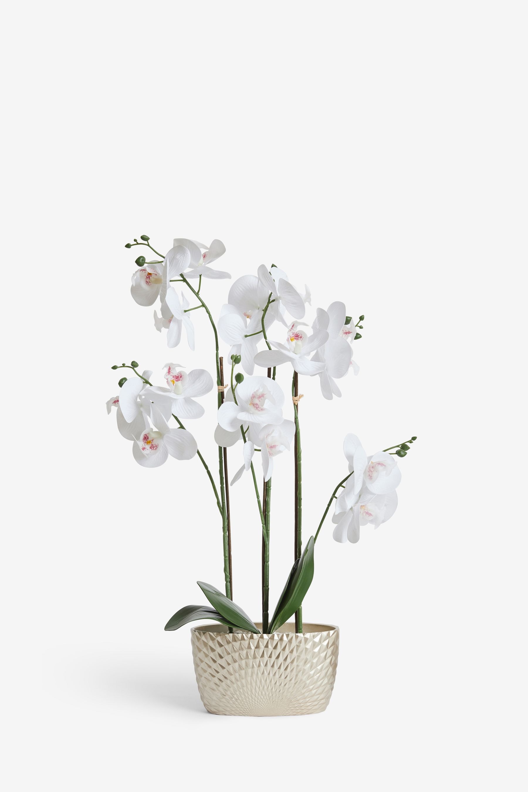 Buy White Artificial Real Touch Orchid in Geo Pot from the Next UK