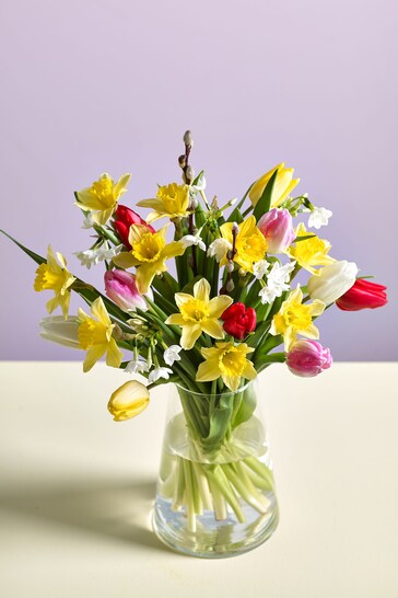 Multi Tulip and Daffodil Letterbox Fresh Flower Bouquet