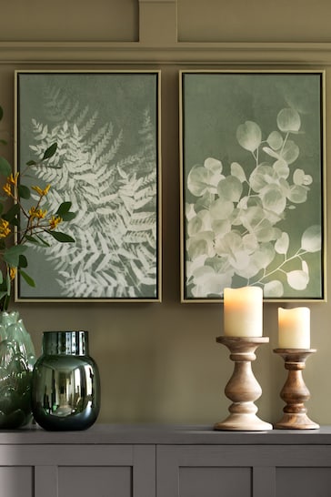 Set of 2 Botanical Canvas Wall Art