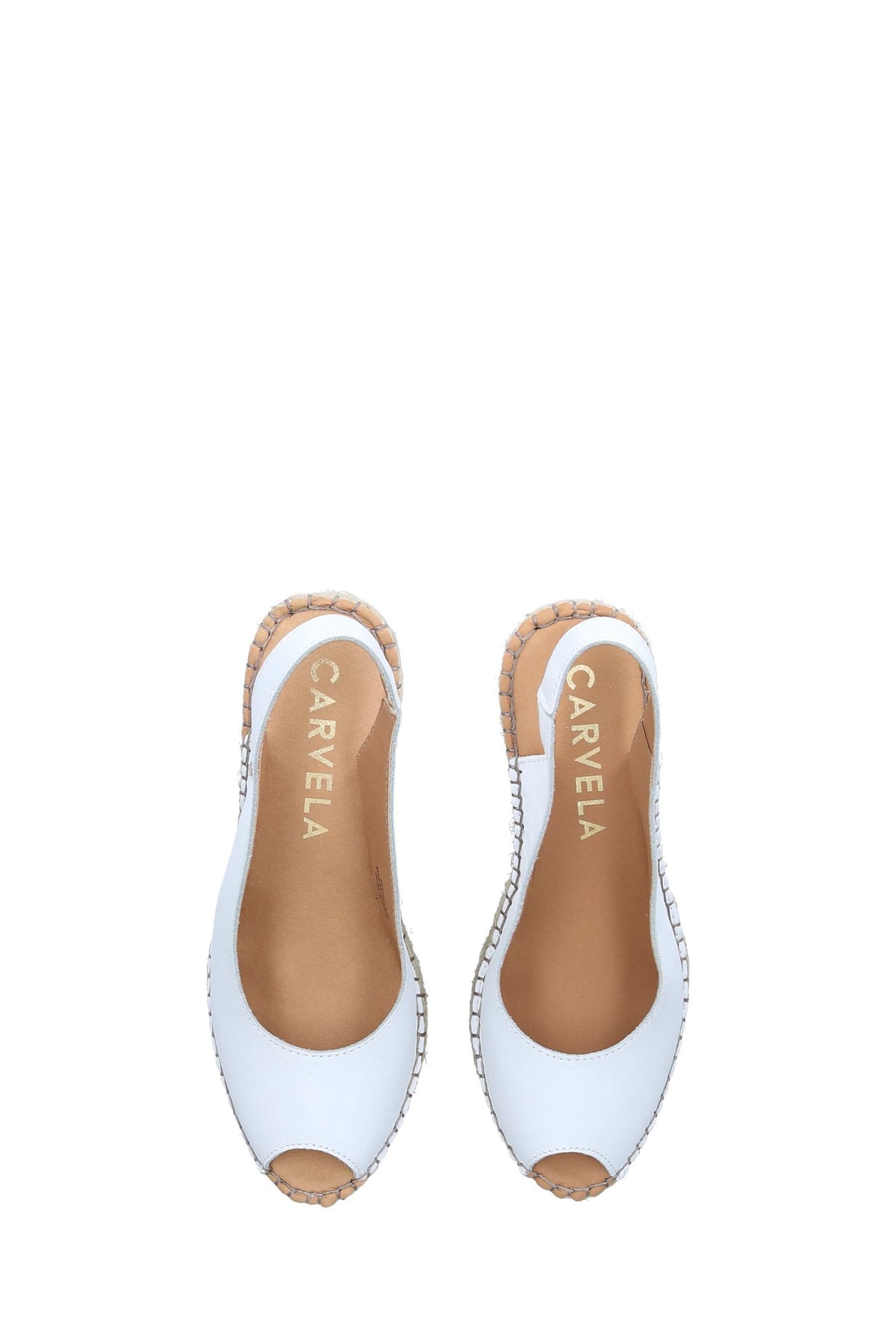 Carvela sharon 2025