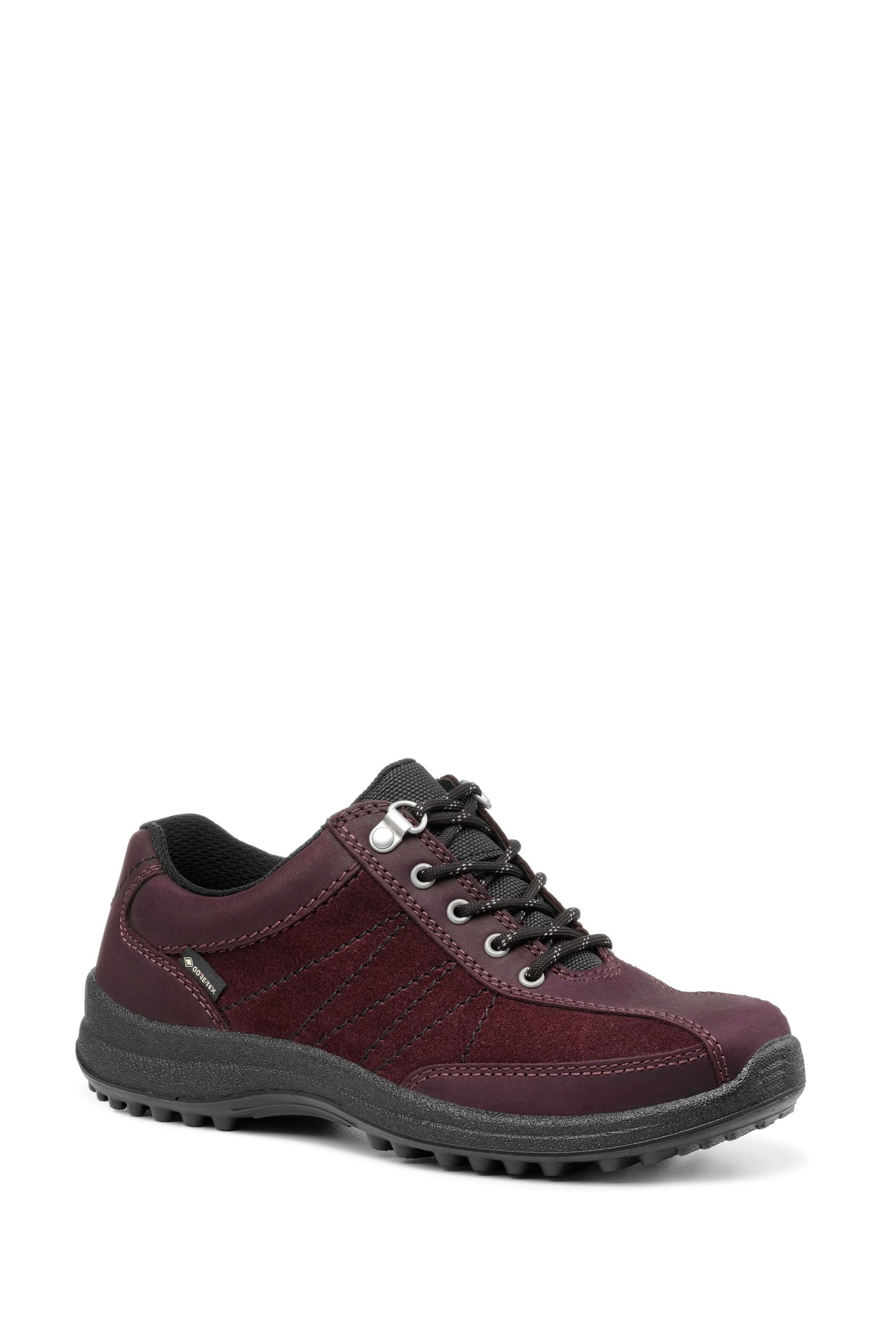 Hotter violet on sale shoes