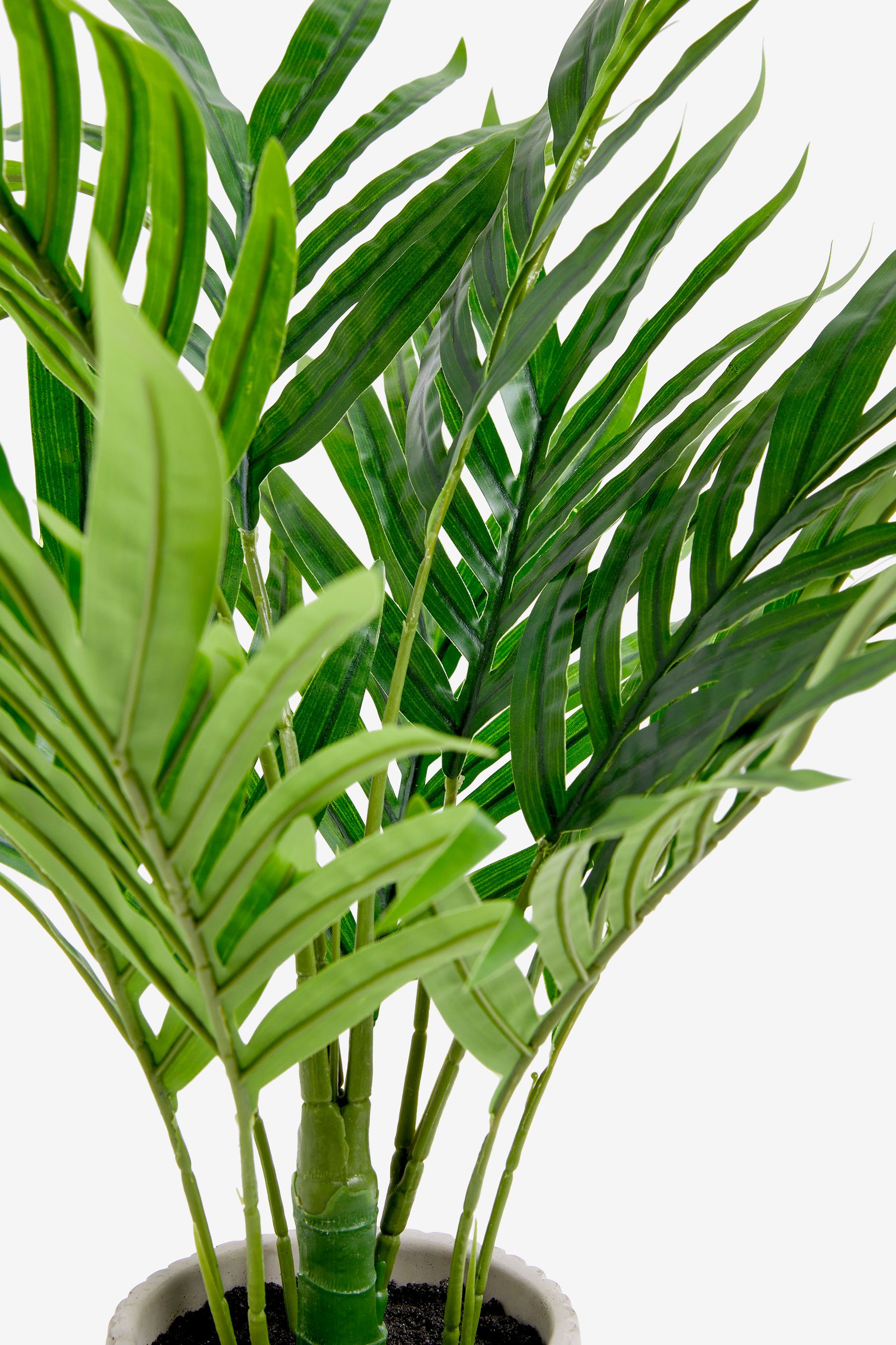 Green Artificial Mini Kentia Palm Plant In Ribbed Concrete Pot