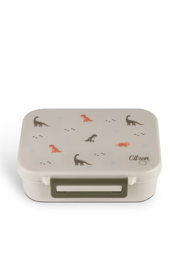 Citron Small Lunch Box with Mix-Free Compartments