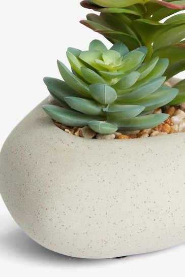Green Artificial Succulent Mix In Pebble Pot