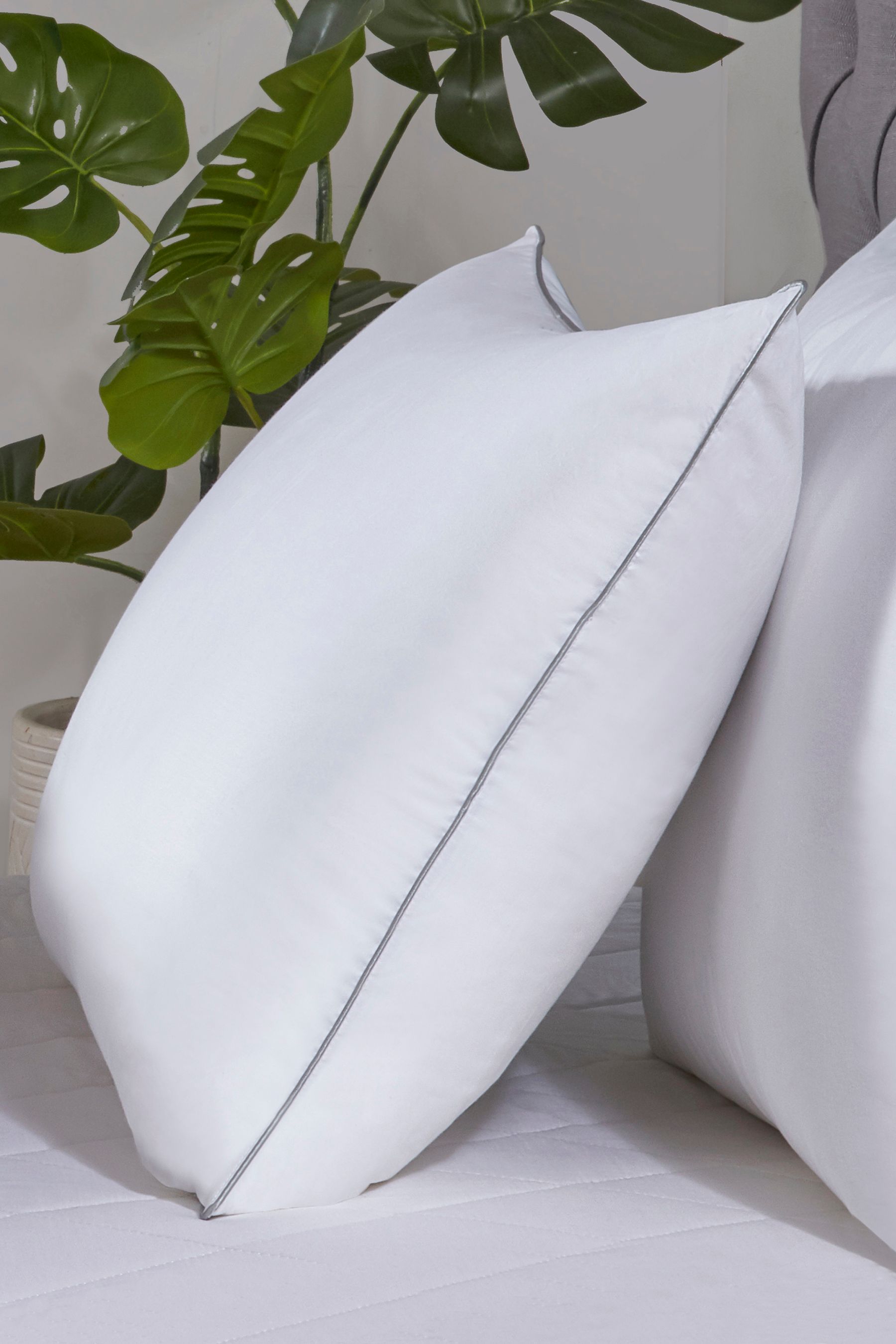 Swiss bamboo pillow online