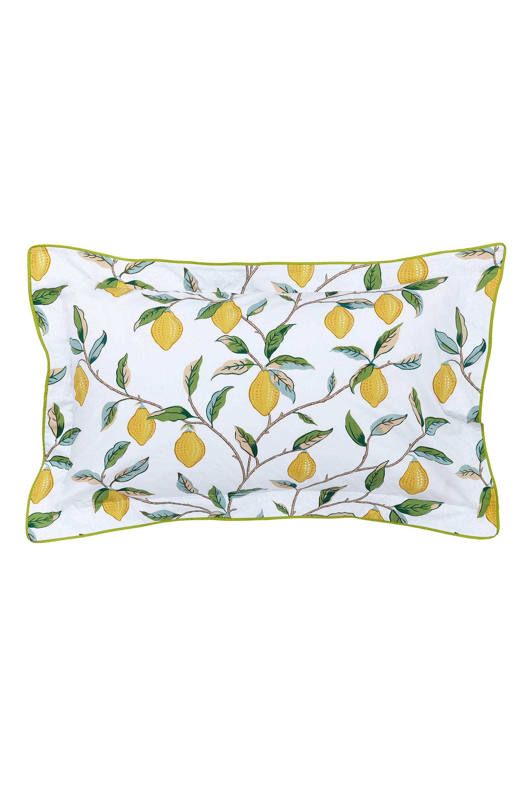 Lemon 2024 outdoor pillow