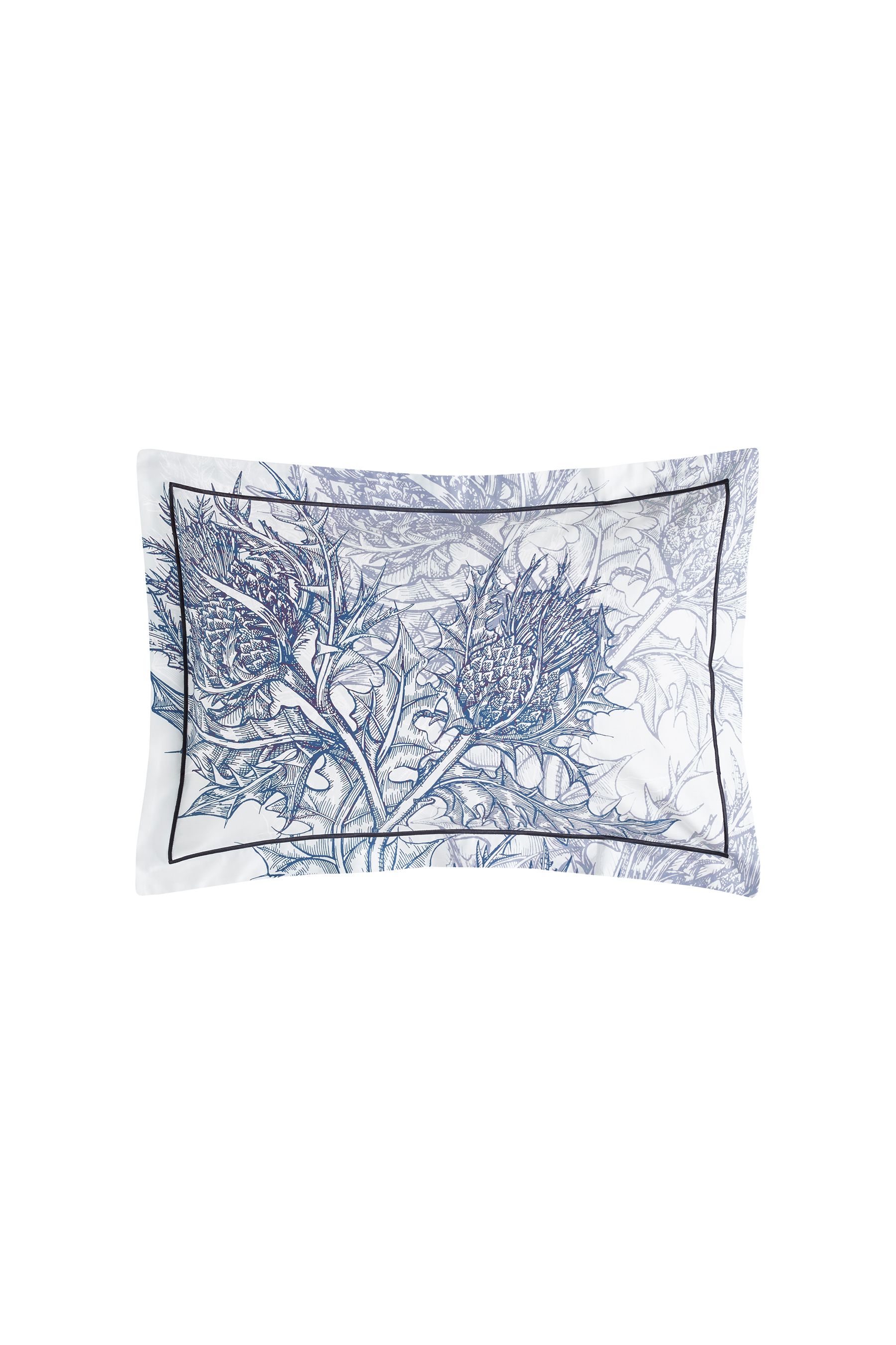 Timorous 2025 beasties pillows