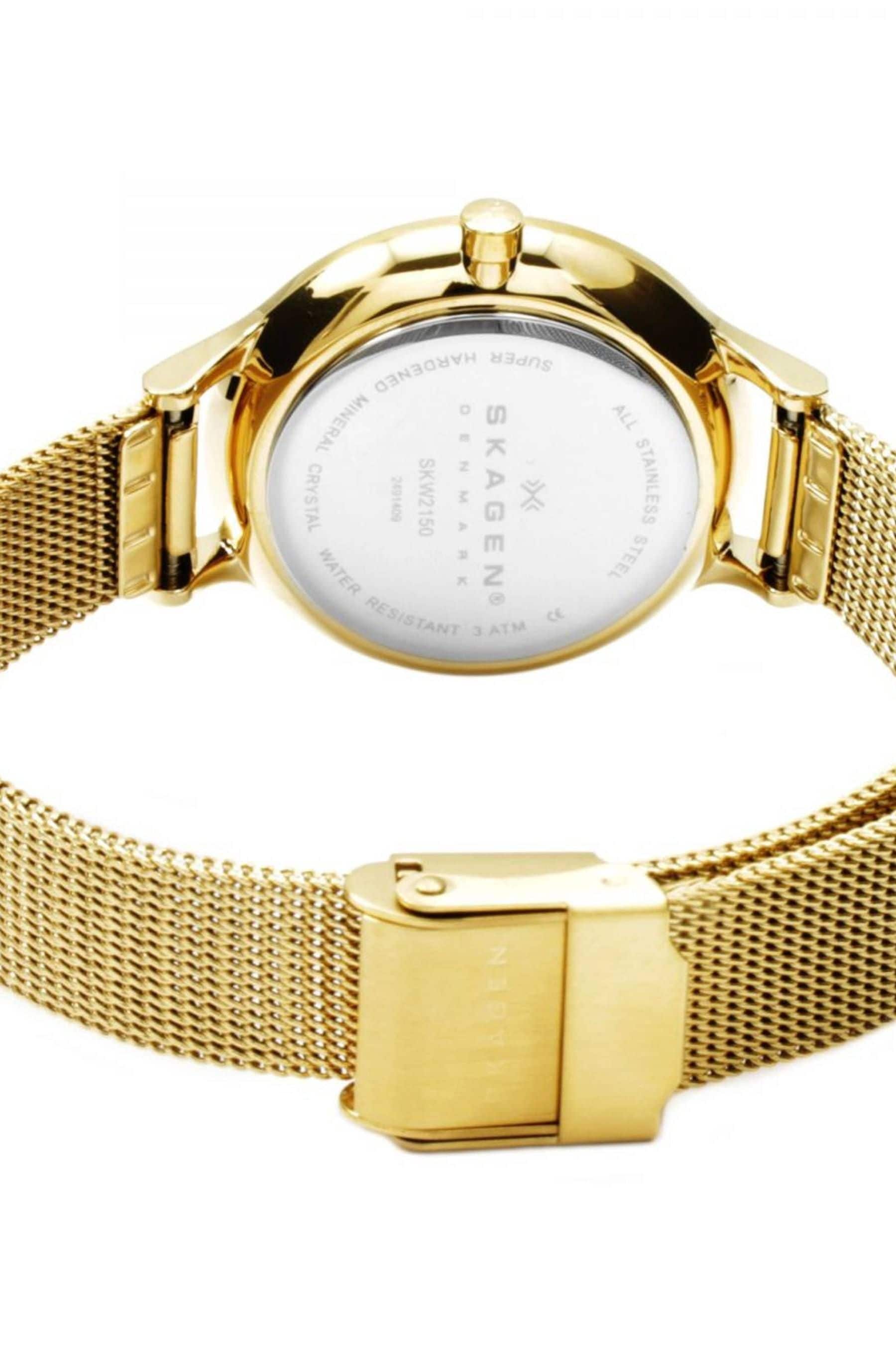 Skagen skw2150 on sale