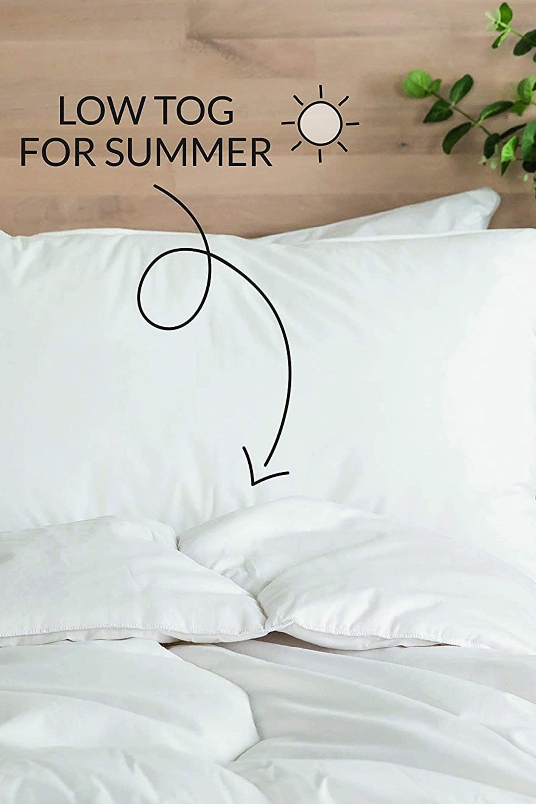 Buy Snuggledown Freshwash Anti Allergy 4.5 Tog White Duvet from