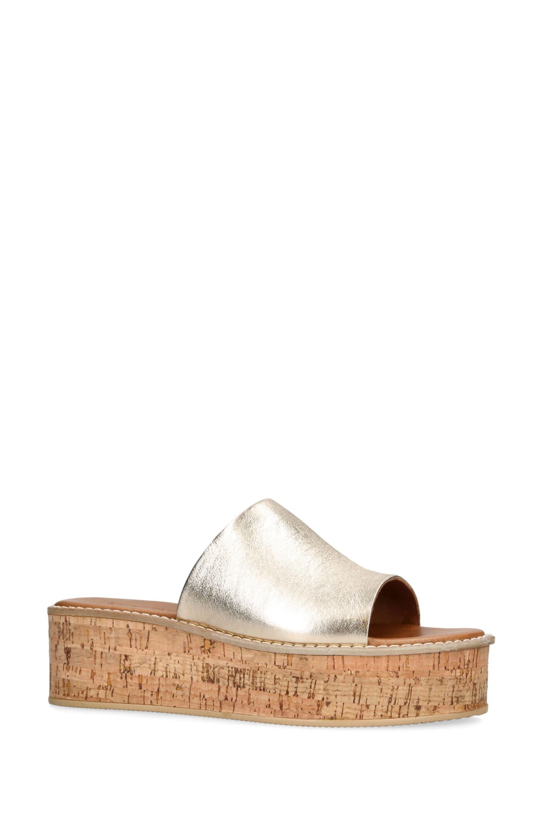 Maci kurt clearance geiger