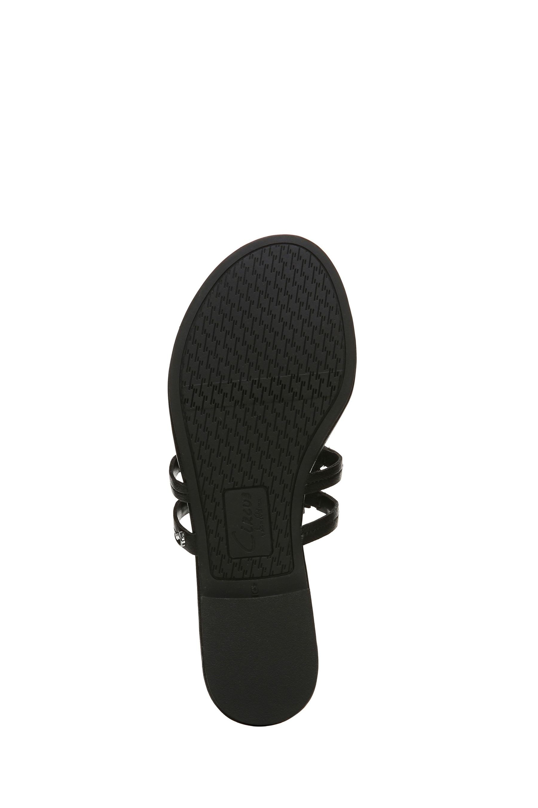 Circus sales flip flops