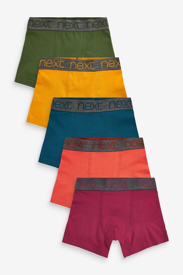 Autumnal tones Trunks 5 Pack (2-16yrs)