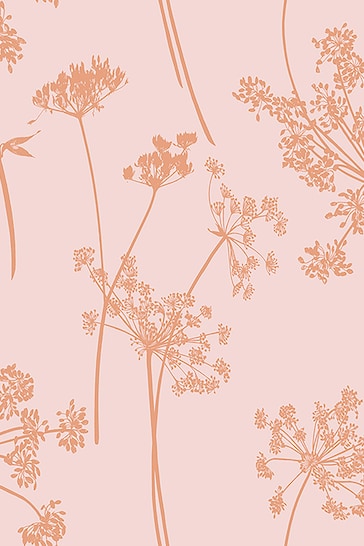 Graham & Brown Pink Anthriscus Blush Wallpaper