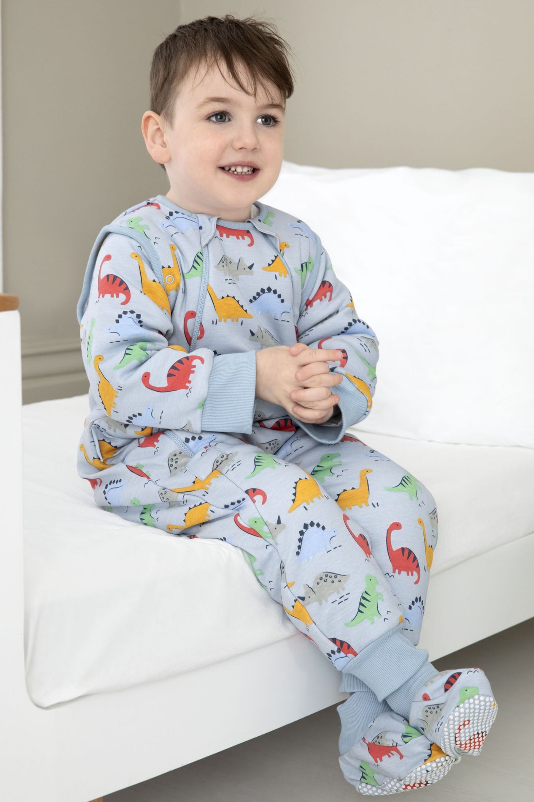 2.5 tog sleep snuggler 2025