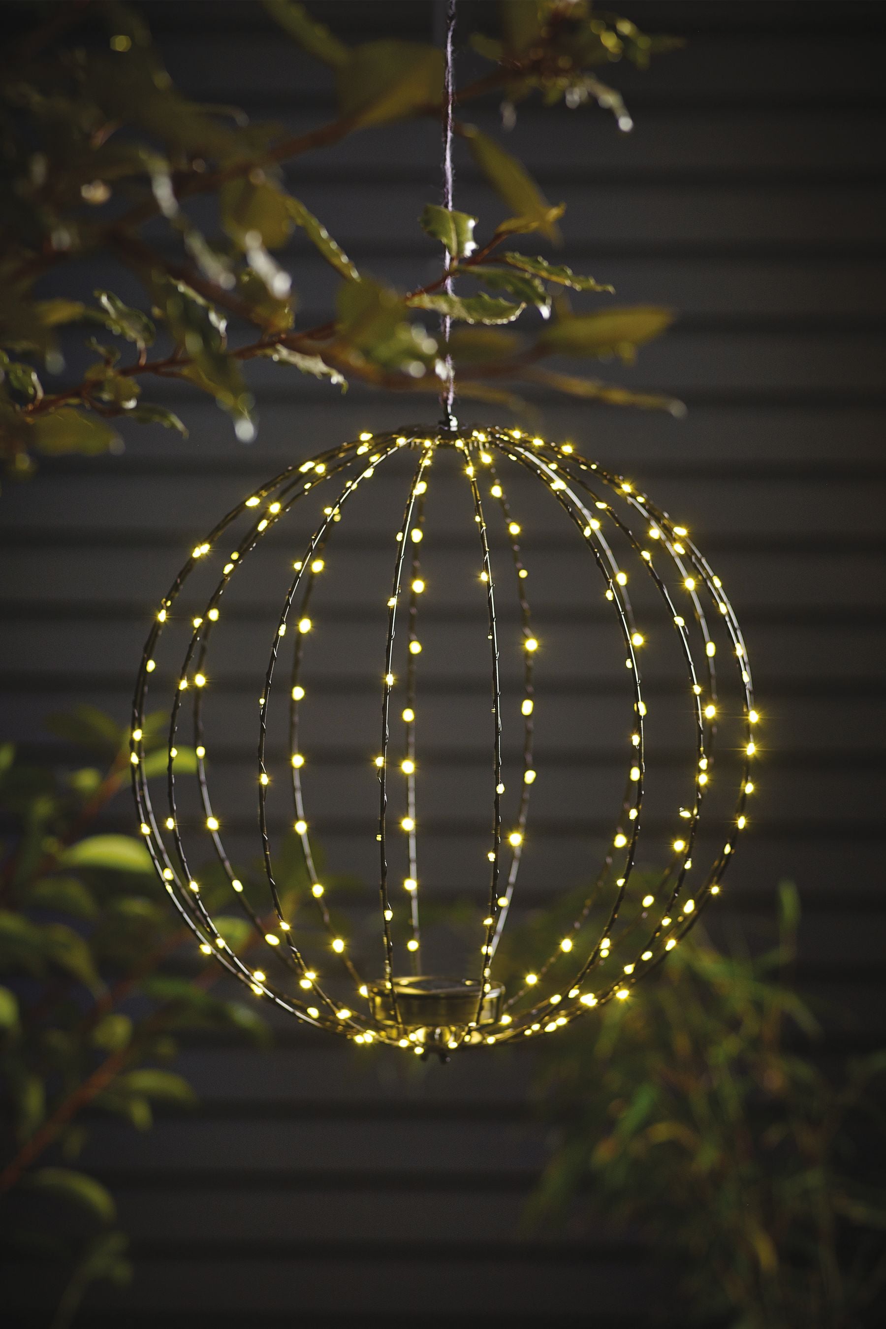 Outdoor hotsell lights next