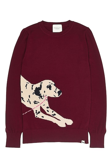 Buy Radley London Radley & Friends Dog Jumper from the Next UK online shop