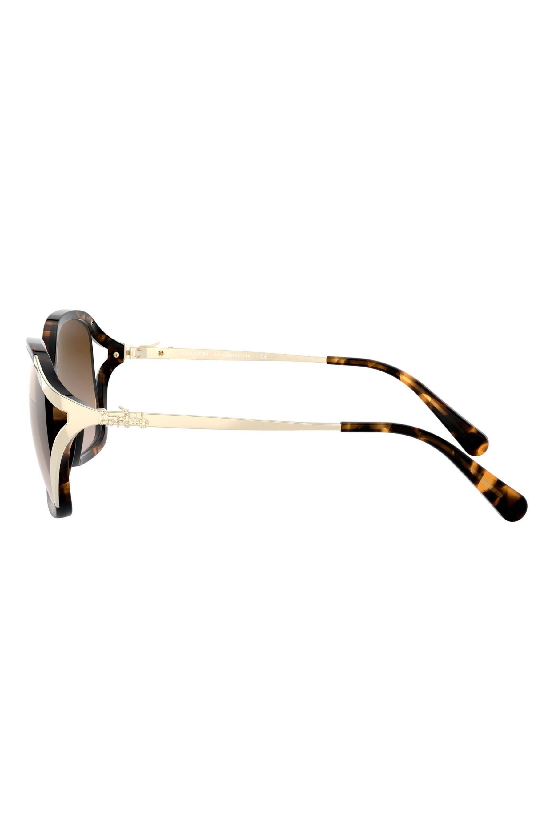 Discount 2025 coach sunglasses