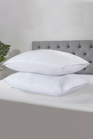 BHS Set of 2 Pillows