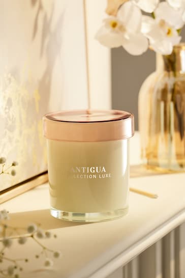White Collection Luxe Antigua Mango and Papaya Single Wick Scented Candle