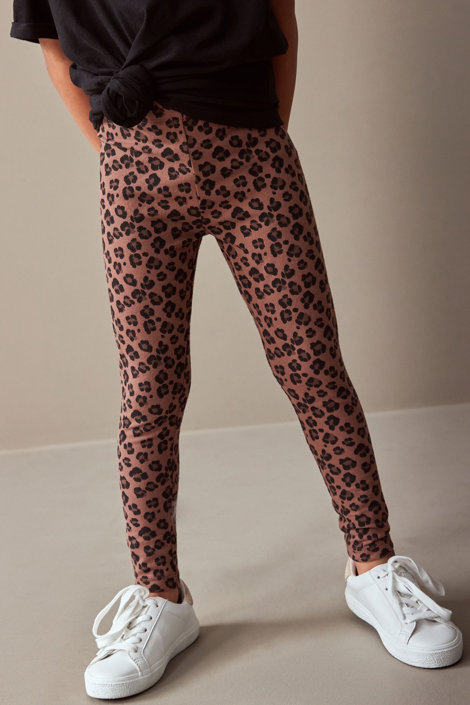 Buy Chocolate Brown Animal Print Leggings 3 16yrs from the Next