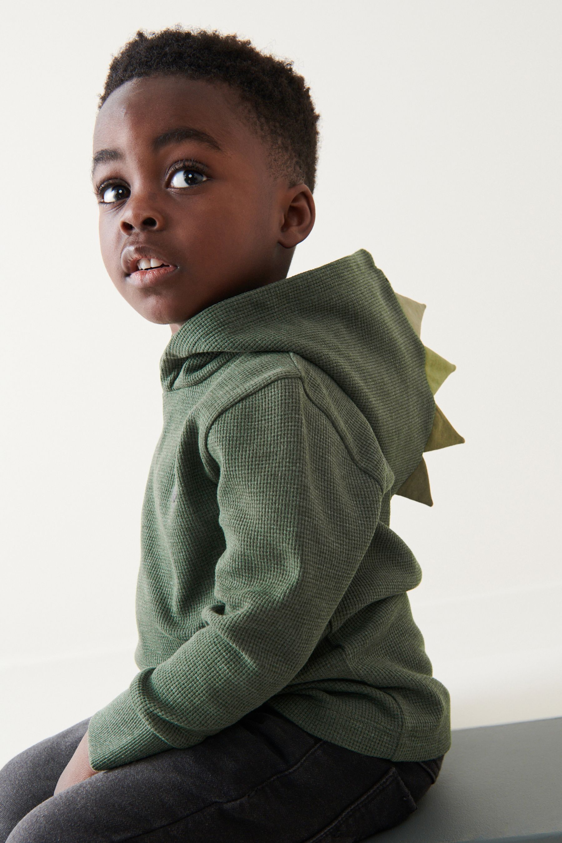 Buy Khaki Green Textured Jersey Dino Spikes Hoodie 3mths 10yrs from the Next UK online shop