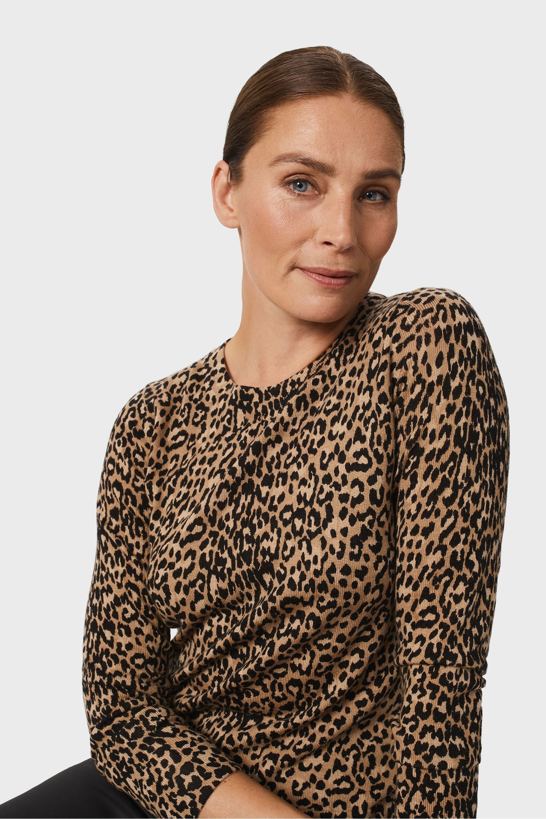 Hobbs cat jumper 2025