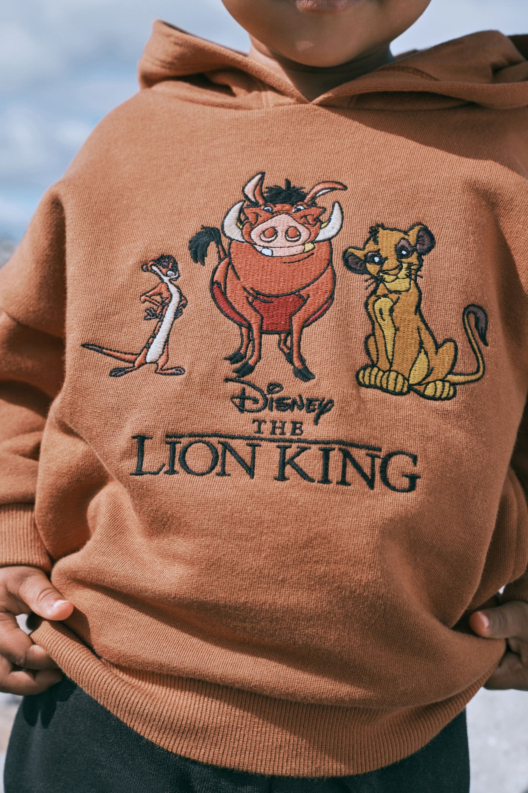 Disney lion king hoodie on sale