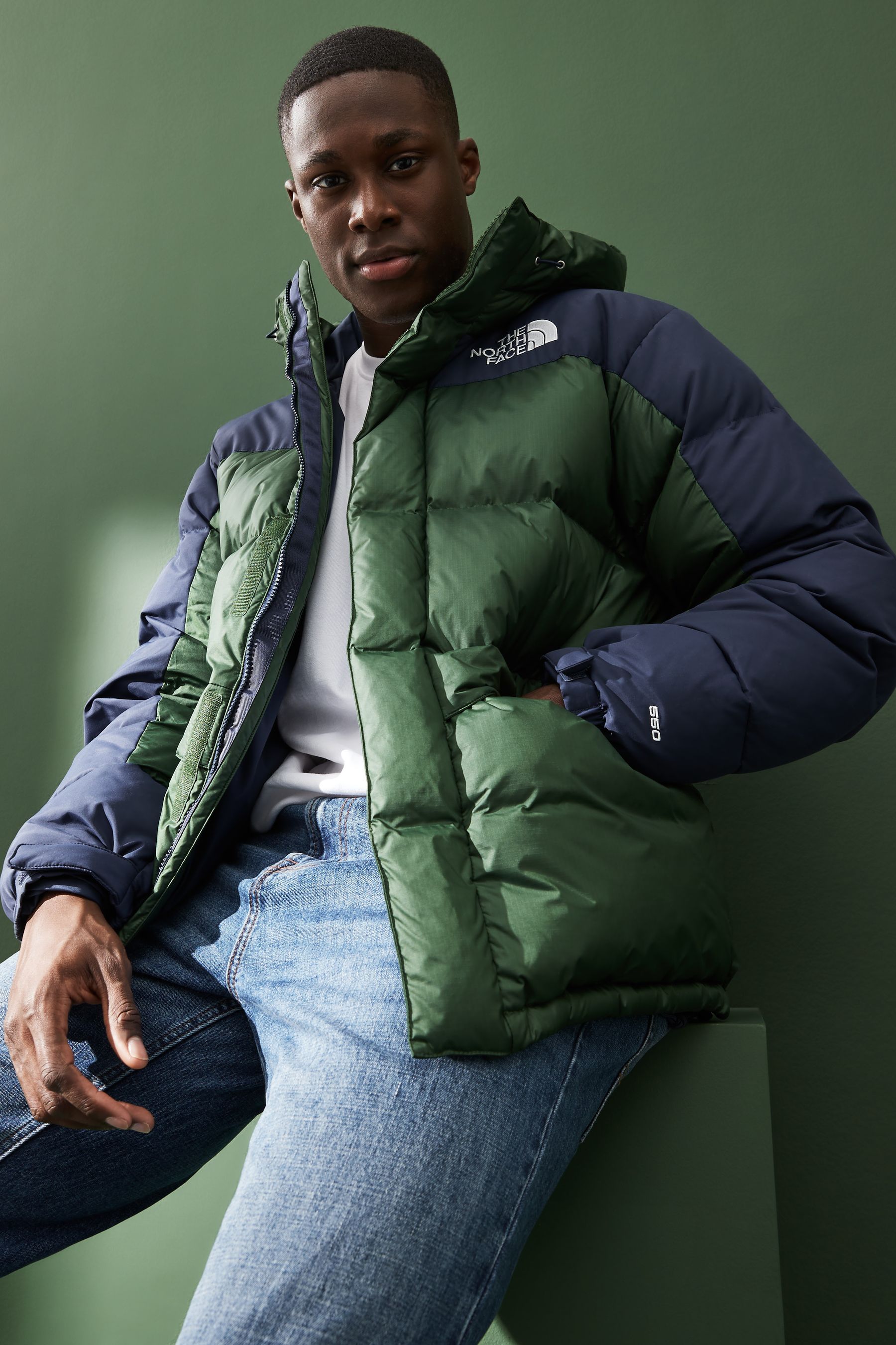 the north face himalayan parka down